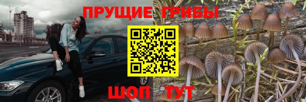 МЕФ кристаллы  ГАШ  Лсд 25  Солнечногорск  Канабис  Вход с VPN 